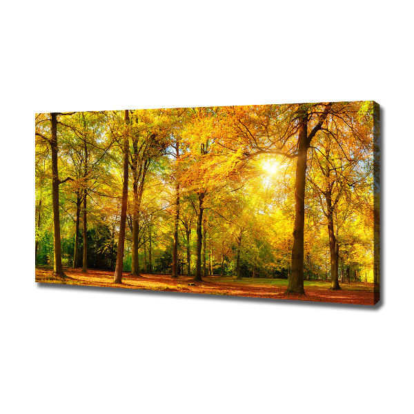 Quadro su tela Foresta in autunno