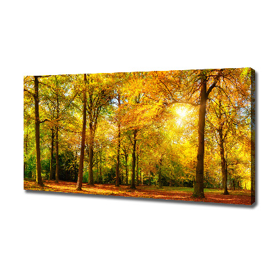 Quadro su tela Foresta in autunno