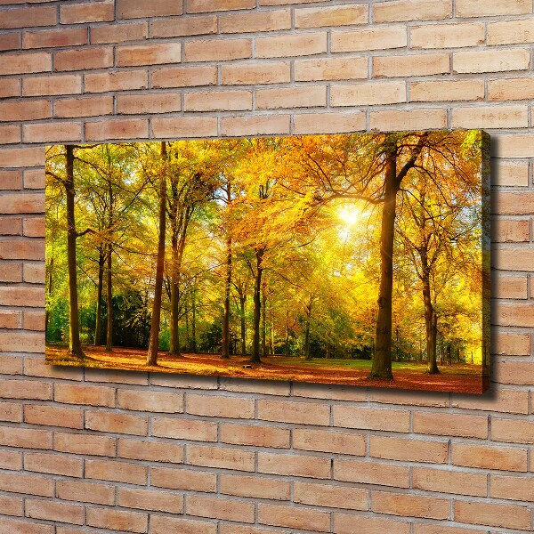 Quadro su tela Foresta in autunno