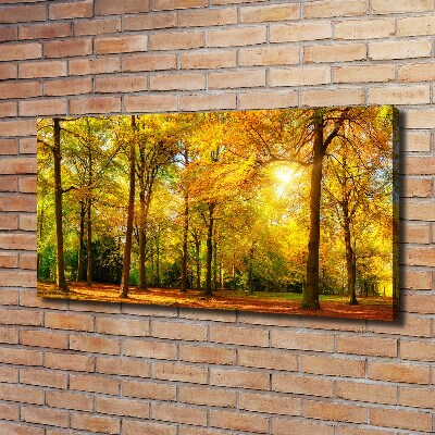 Quadro su tela Foresta in autunno