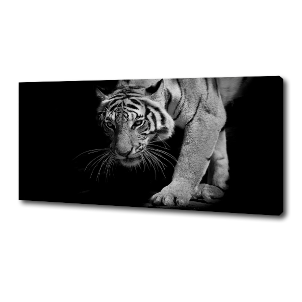 Quadro su tela Tigre