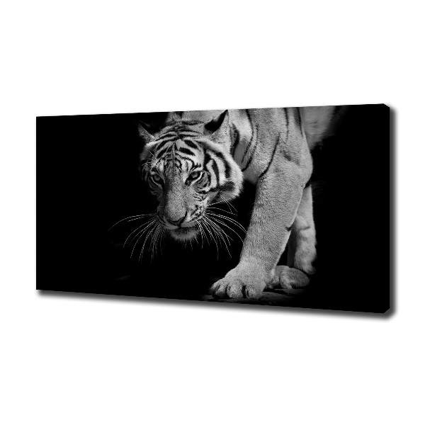 Quadro su tela Tigre