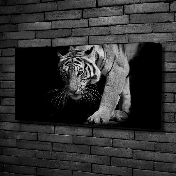 Quadro su tela Tigre