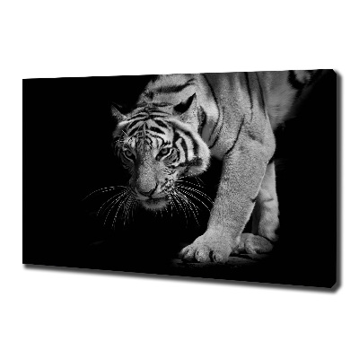 Quadro su tela Tigre