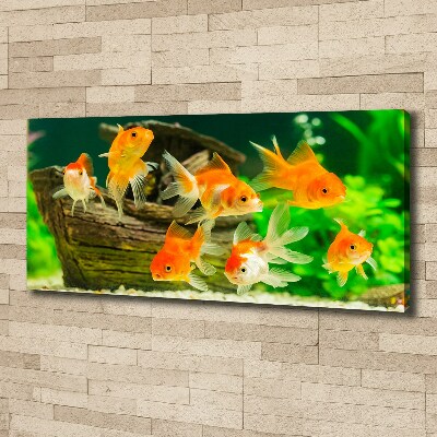 Foto quadro su tela Pesce rosso