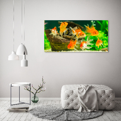 Foto quadro su tela Pesce rosso