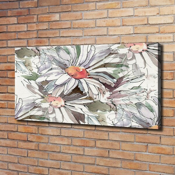 Quadro su tela Camomilla