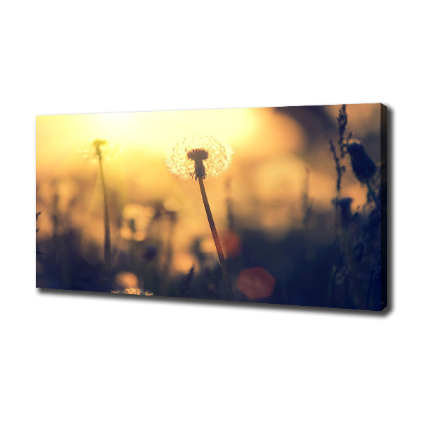 Quadro stampa su tela Dente di leone