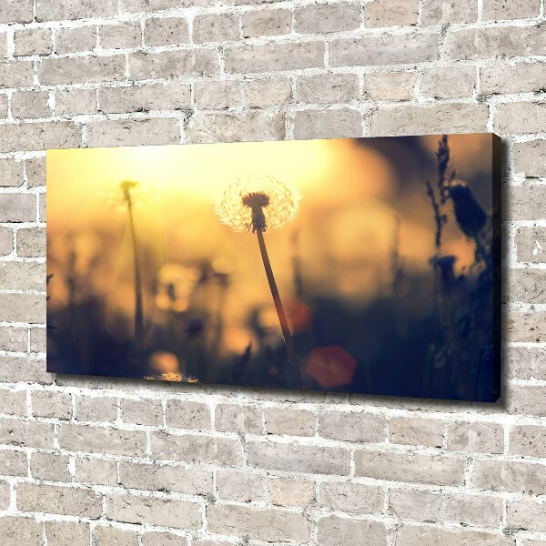 Quadro stampa su tela Dente di leone