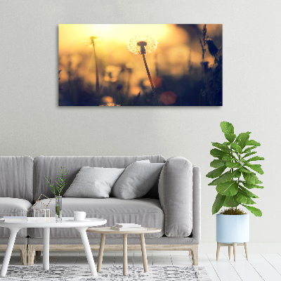 Quadro stampa su tela Dente di leone