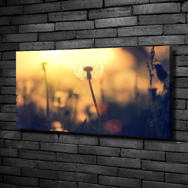 Quadro stampa su tela Dente di leone