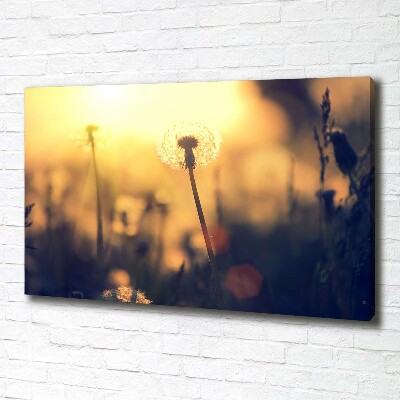 Quadro stampa su tela Dente di leone