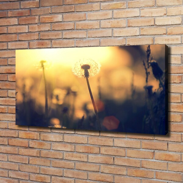 Quadro stampa su tela Dente di leone