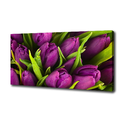 Foto quadro su tela Tulipani viola