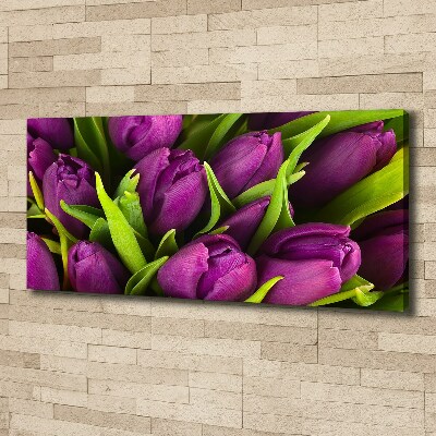 Foto quadro su tela Tulipani viola