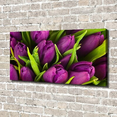 Foto quadro su tela Tulipani viola