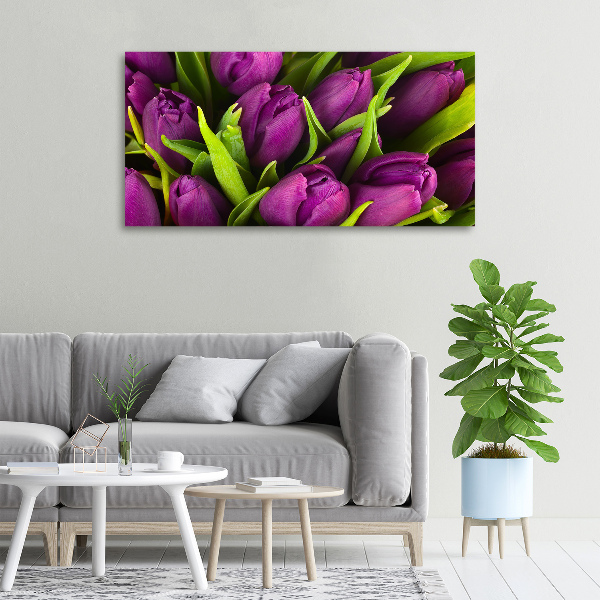 Foto quadro su tela Tulipani viola