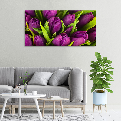 Foto quadro su tela Tulipani viola
