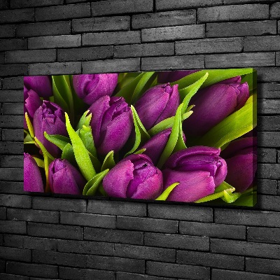 Foto quadro su tela Tulipani viola