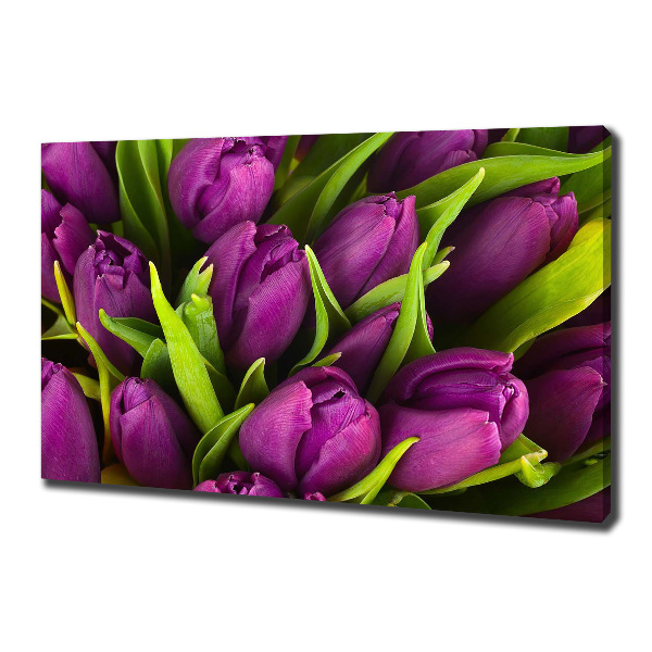 Foto quadro su tela Tulipani viola