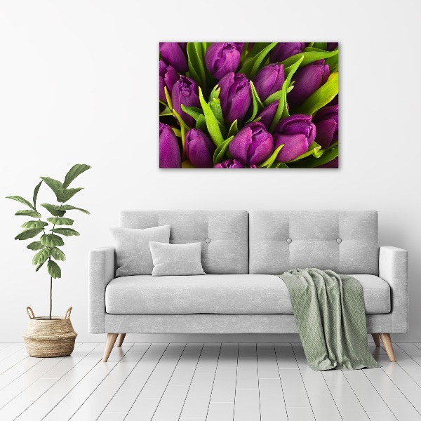 Foto quadro su tela Tulipani viola