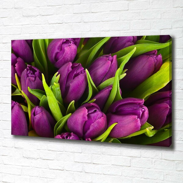 Foto quadro su tela Tulipani viola