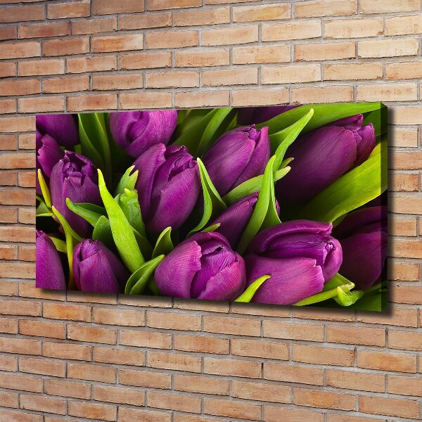 Foto quadro su tela Tulipani viola