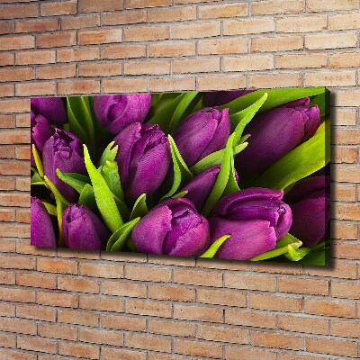 Foto quadro su tela Tulipani viola