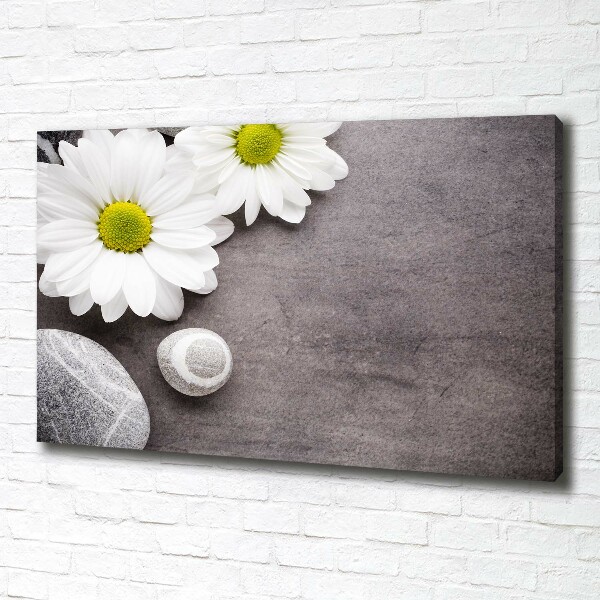Quadro stampa su tela Gerbera