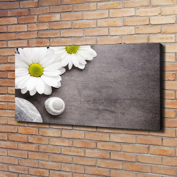 Quadro stampa su tela Gerbera