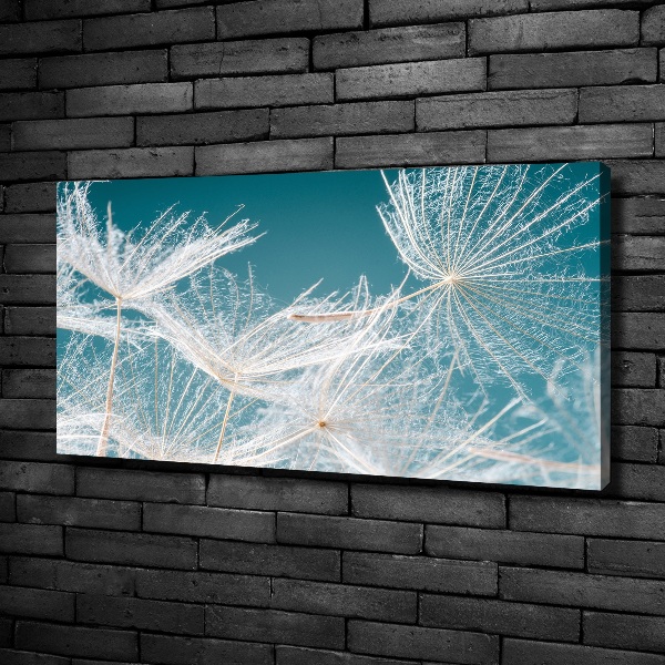 Quadro su tela Semi di tarassaco