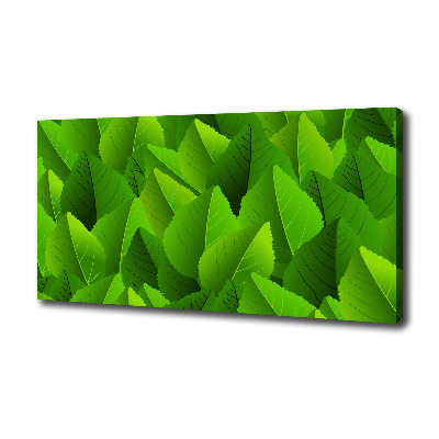 Foto quadro su tela Foglie verdi