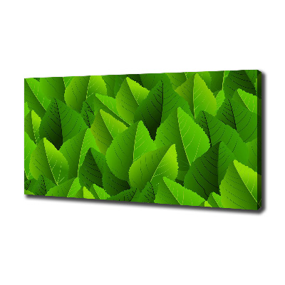 Foto quadro su tela Foglie verdi