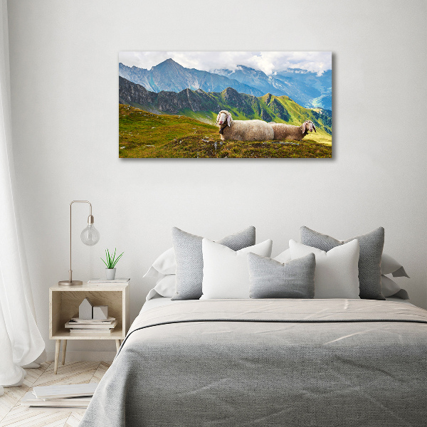 Quadro su tela Pecore nelle Alpi