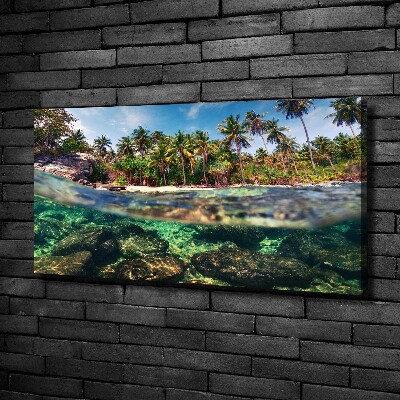 Foto quadro su tela Spiaggia tropicale