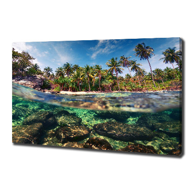 Foto quadro su tela Spiaggia tropicale