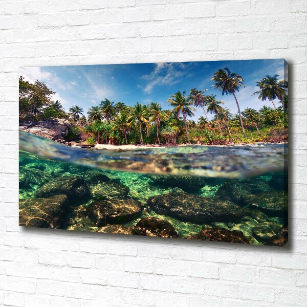 Foto quadro su tela Spiaggia tropicale