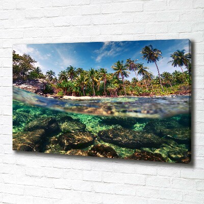 Foto quadro su tela Spiaggia tropicale