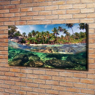 Foto quadro su tela Spiaggia tropicale