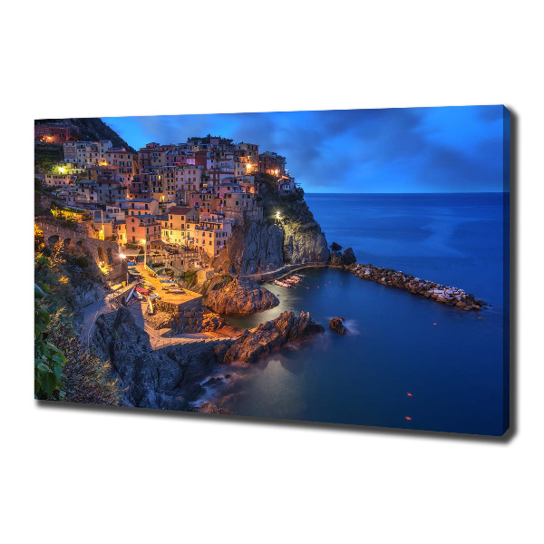 Foto quadro su tela Manarola, Italia