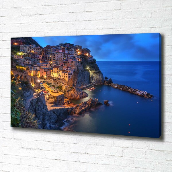 Foto quadro su tela Manarola, Italia
