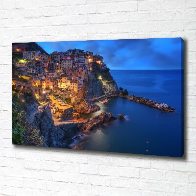 Foto quadro su tela Manarola, Italia