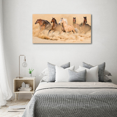 Foto quadro su tela Cavalli del deserto
