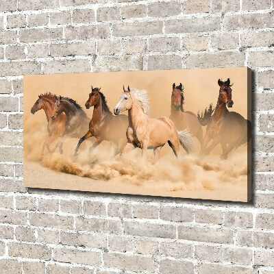 Foto quadro su tela Cavalli del deserto