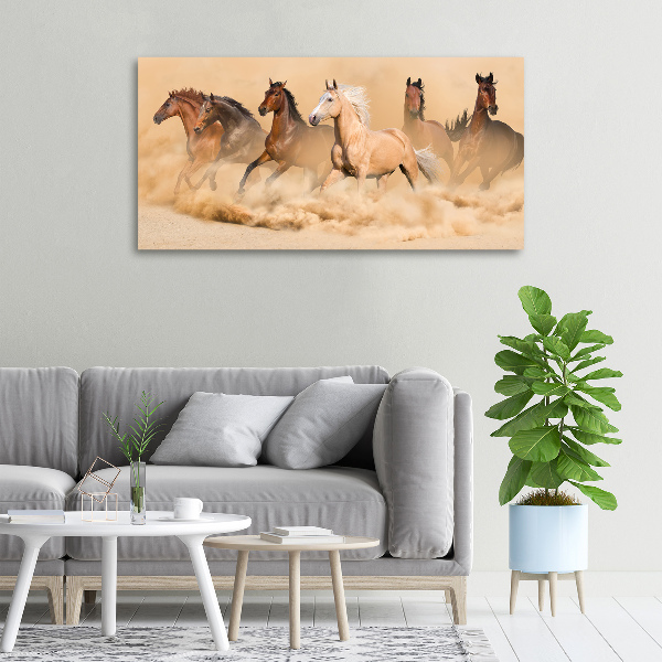 Foto quadro su tela Cavalli del deserto