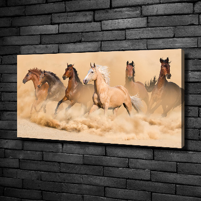 Foto quadro su tela Cavalli del deserto