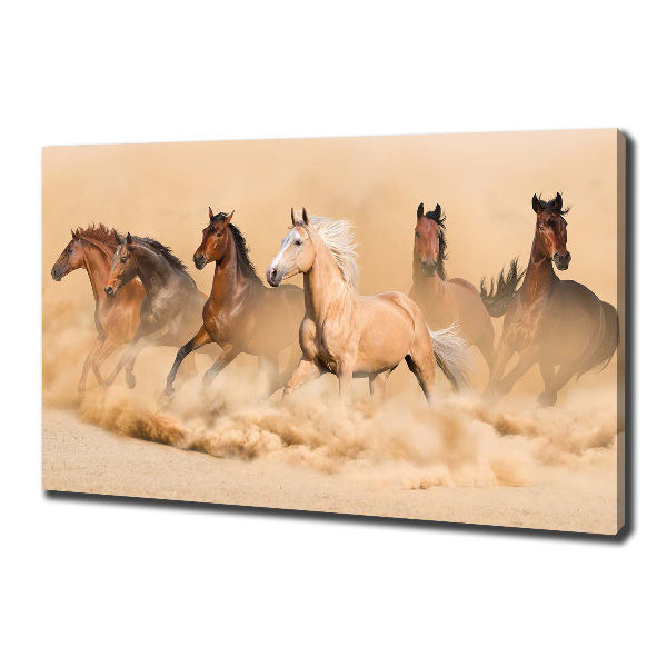Foto quadro su tela Cavalli del deserto