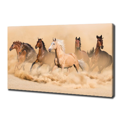 Foto quadro su tela Cavalli del deserto