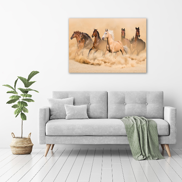 Foto quadro su tela Cavalli del deserto