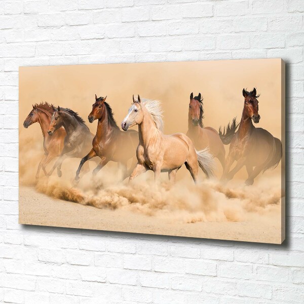 Foto quadro su tela Cavalli del deserto